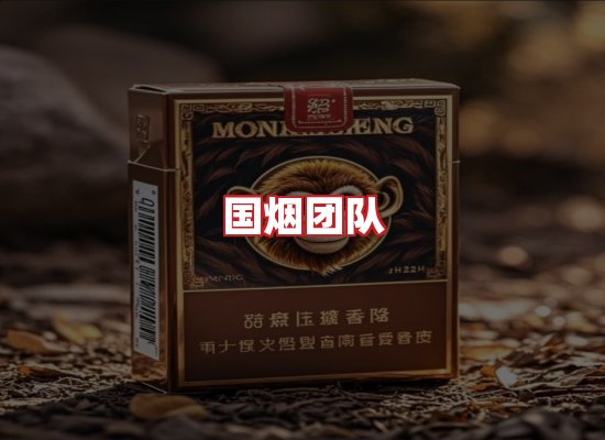 国烟团队